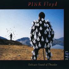 PINK FLOYD - Delicate Sound Of Thunder (Double Fat Case) 2CD