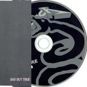 METALLICA - Sad But True (UK Version, Picture Disc) CD'S